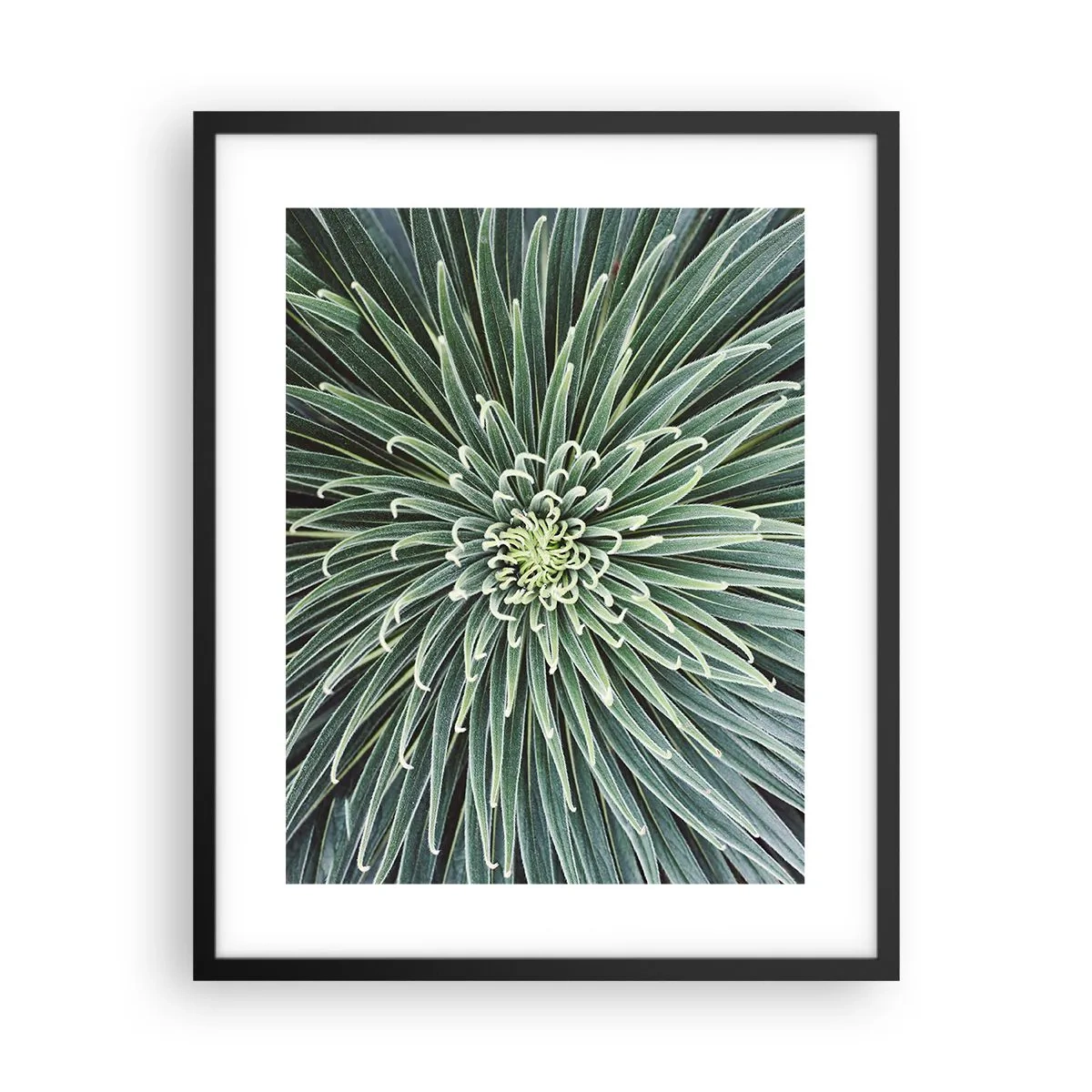 Poster in einem schwarzem Rahmen - Ein Star ist geboren - 40x50 cm