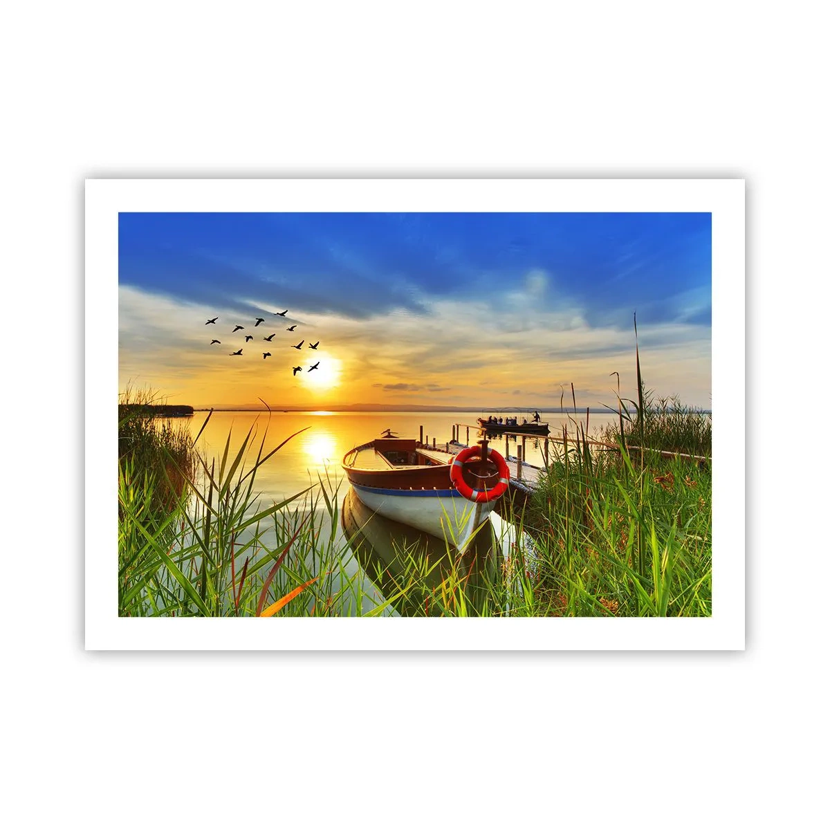 Poster - Die Kormorane fliegen schon weg - 70x50 cm