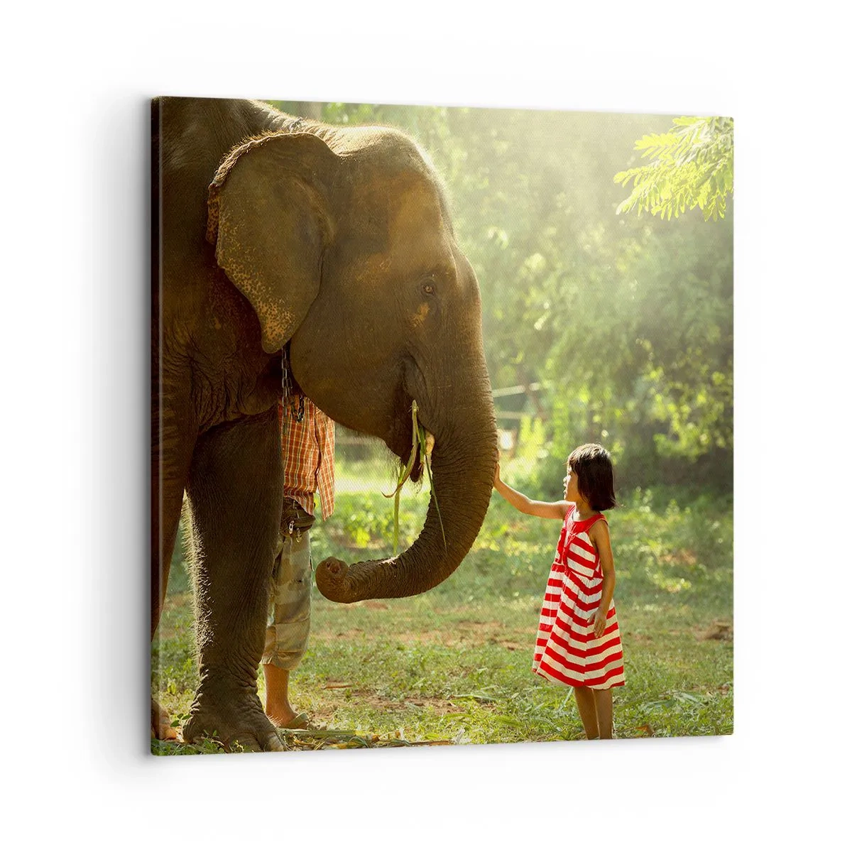 Bild auf Leinwand - Leinwandbild - Die Stärke der Freundschaft - 60x60 cm