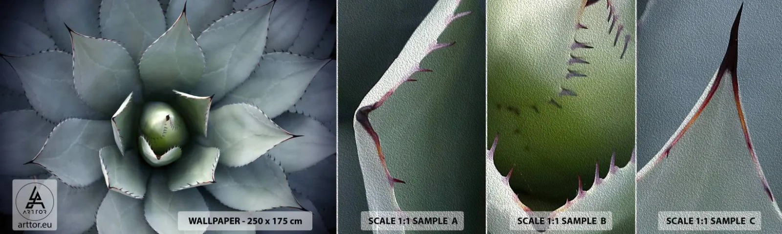 Fototapeten Muster Premium Sand - Es lockt an und warnt - Agavenblüte, Agave, Exotik - 100x30 cm