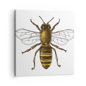 Bild auf Leinwand - Leinwandbild - Schön und gut - 60x60 cm