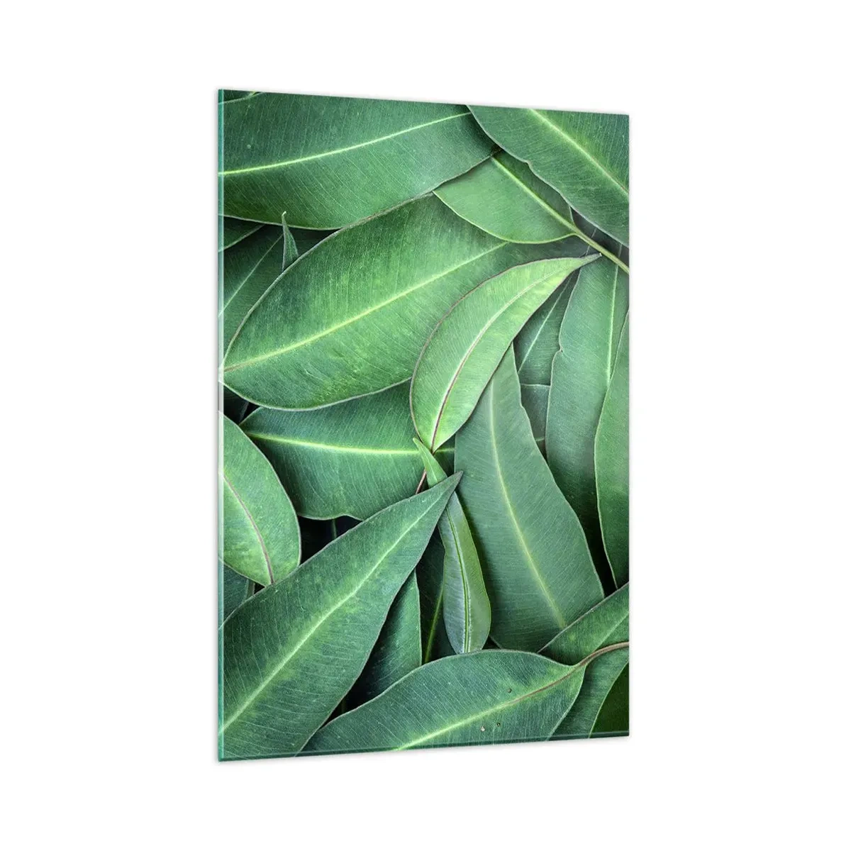 Glasbild - Bild auf glas - Nahaufnahme von grünen Blättern, die ein natürliches Muster erzeugen - 80x120cm - Saftig und frisch - Moderne Wanddekoration für Wohnzimmer und Schlafzimmer ARTTOR