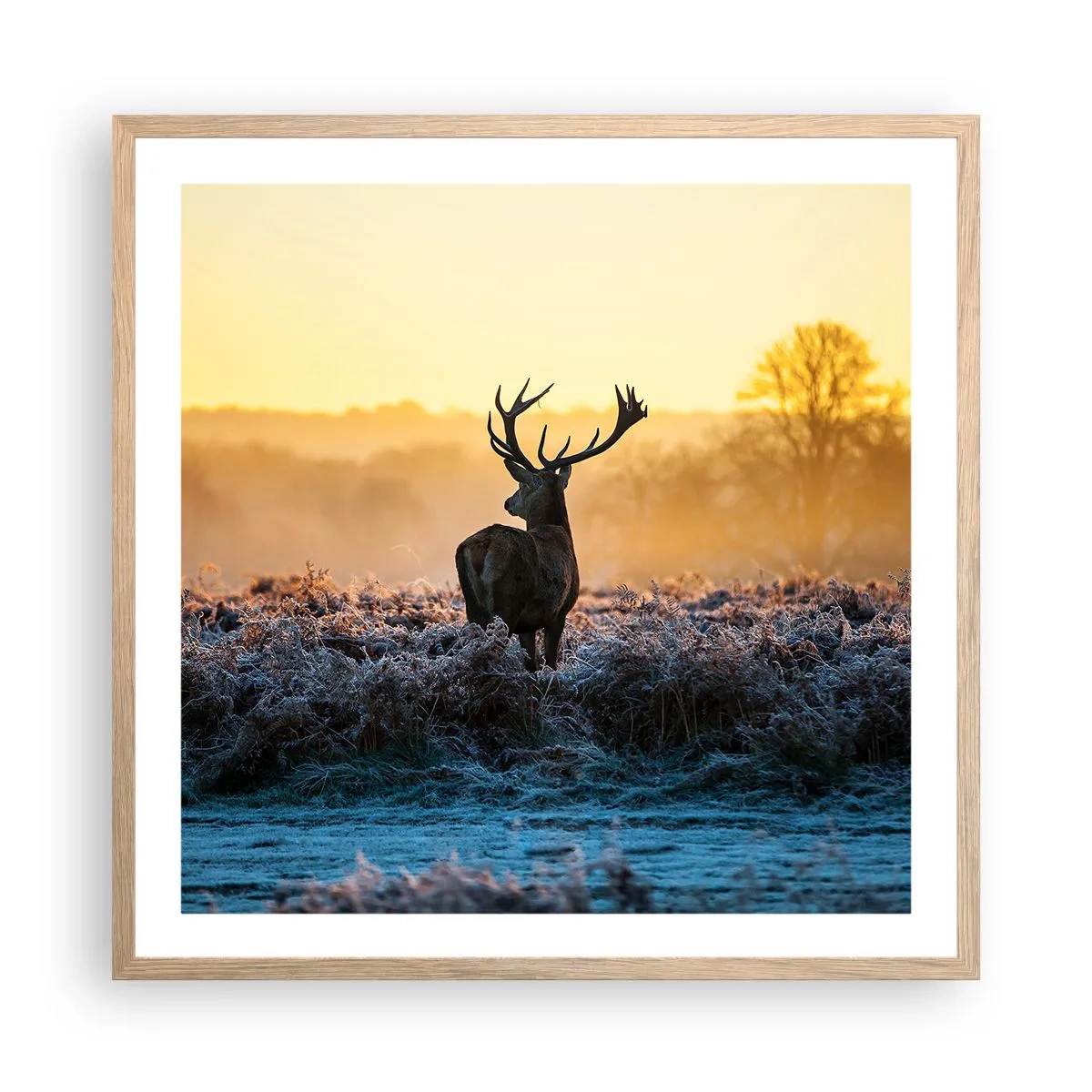 Poster in einem Rahmen aus heller Eiche - Gekrönt auf seinem Besitz - 60x60 cm