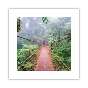 Poster - Über den Kronen aufgehängt - 30x30 cm