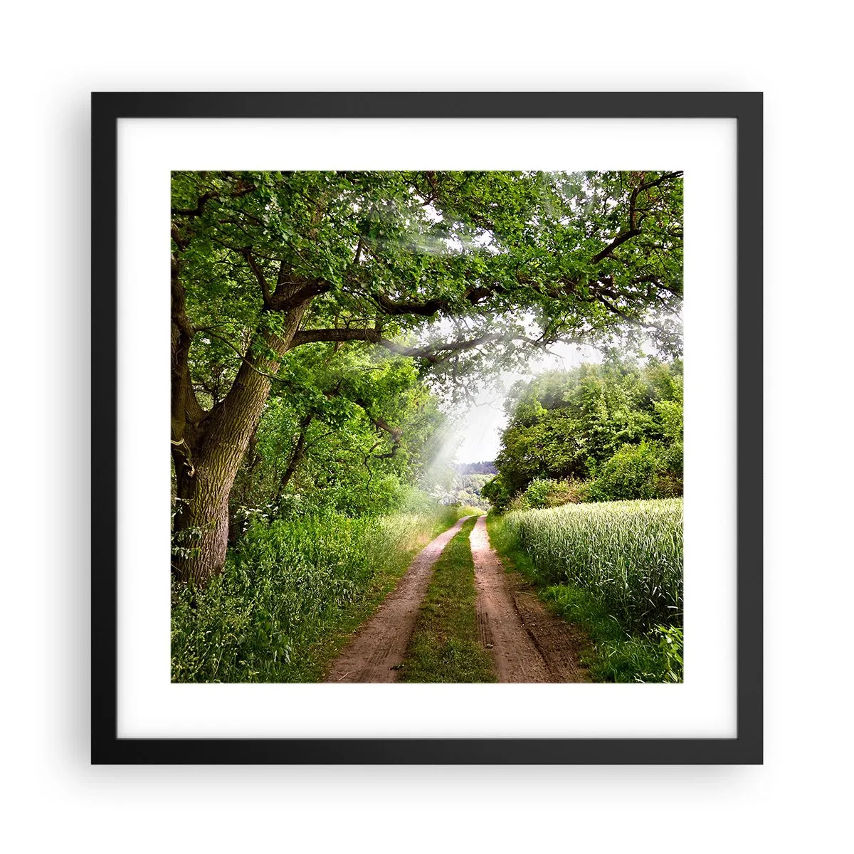 Poster in einem schwarzem Rahmen - Et in Arcadia ego - 40x40 cm