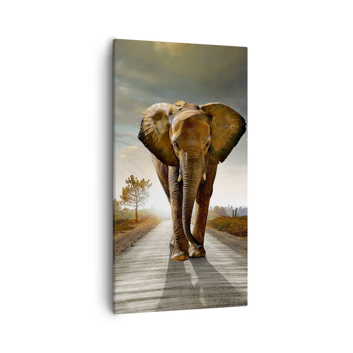 Bild auf Leinwand - Leinwandbild - Und schon gar nicht in einem Porzellanlager - 55x100 cm