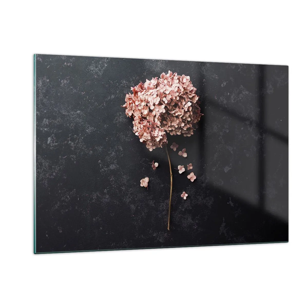 Glasbild - Bild auf glas - Trockene Hortensie mit verstreuten Blütenblättern auf dunklem Hintergrund - 120x80cm - Wirklich romantisches Zeichen - Moderne Wanddekoration für Wohnzimmer und Schlafzimmer ARTTOR