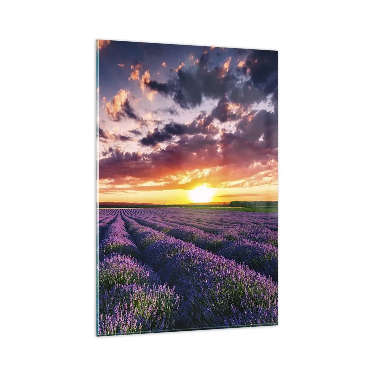 Glasbild - Bild auf glas - Ein Lavendelfeld bei Sonnenuntergang mit einem farbenfrohen Himmel - 80x120cm - Lavendel Welt - Moderne Wanddekoration für Wohnzimmer und Schlafzimmer ARTTOR