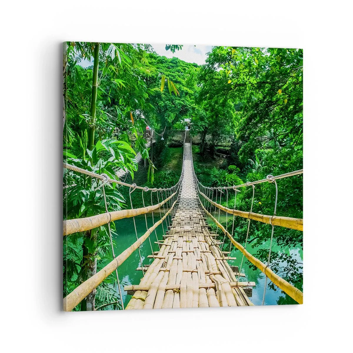 Bild auf Leinwand - Leinwandbild - Monkey Bridge über das Grün - 70x70 cm