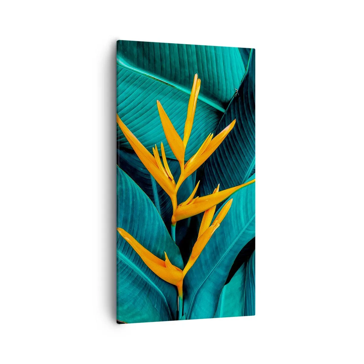 Bild auf Leinwand - Leinwandbild - Eden-Blume - 55x100 cm