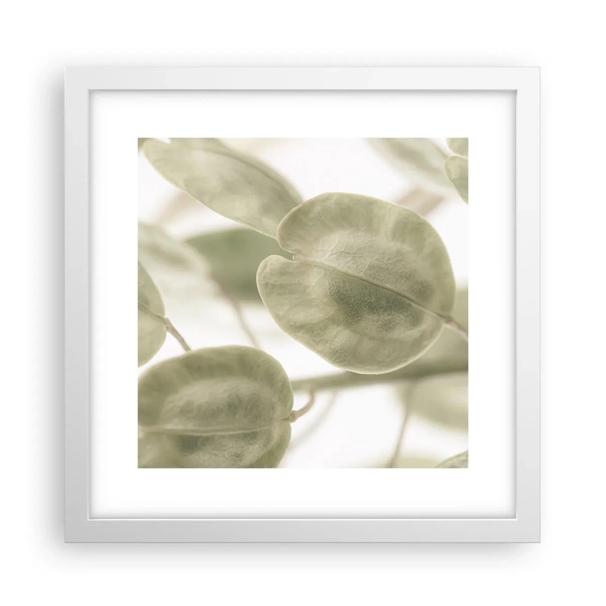Poster in einem weißen Rahmen - Am Anfang waren Blätter... - 30x30 cm