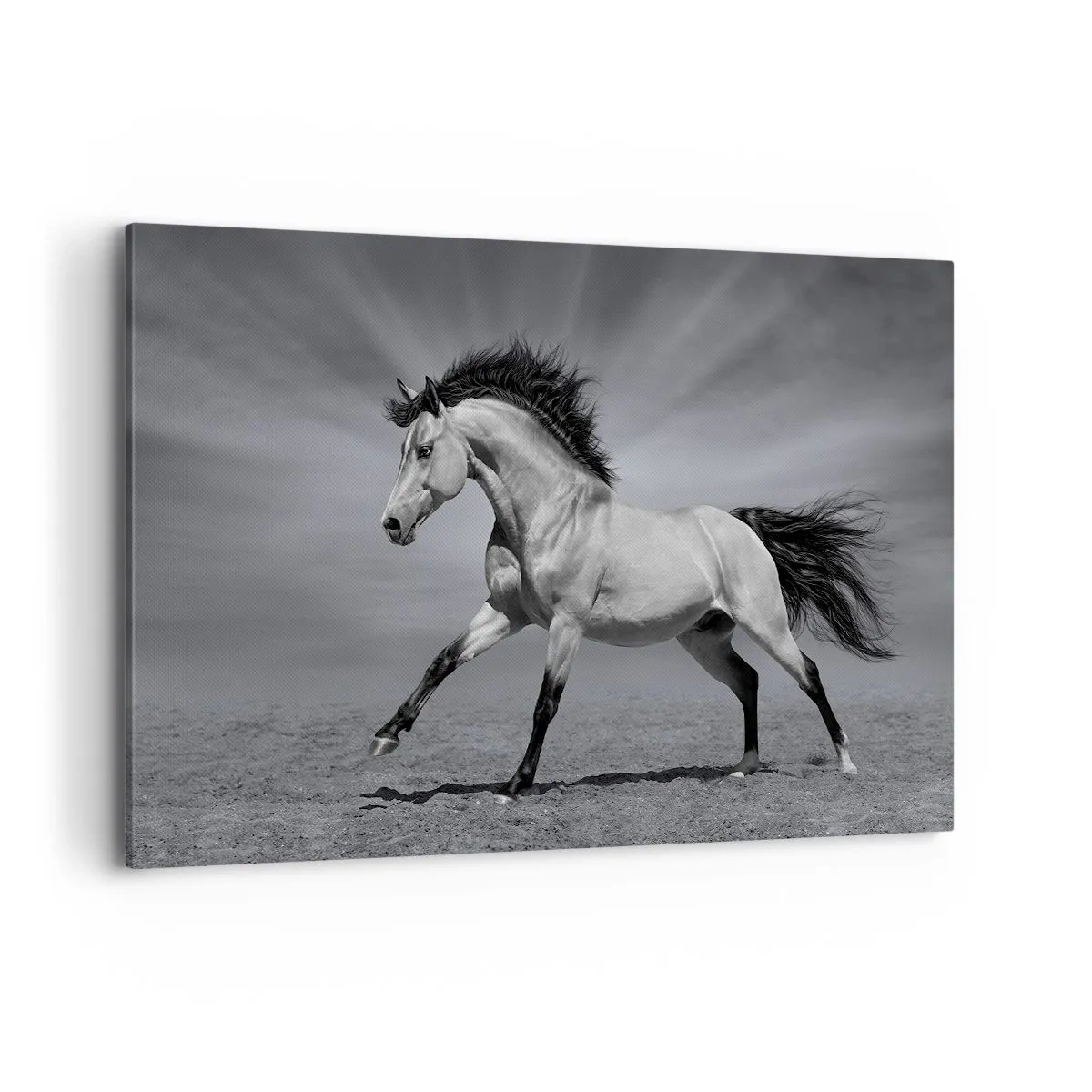 Bild auf Leinwand - Leinwandbild - Ein schwarz-weißes Pferd in einer dynamischen Pose in der Wüste. - 120x80cm - Geboren um Freude zu bereiten - Moderne Wanddekoration für Wohnzimmer und Schlafzimmer ARTTOR