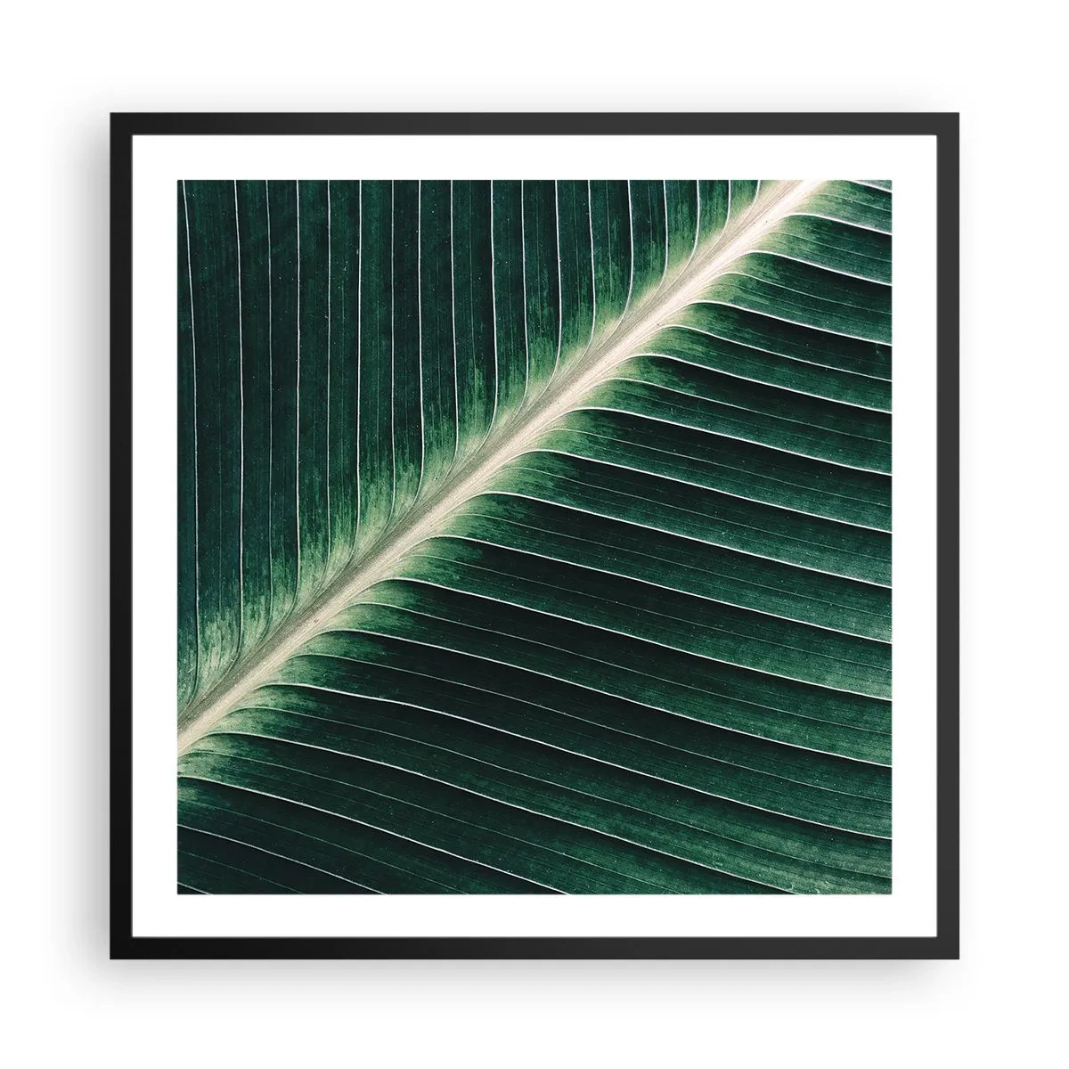 Poster in einem schwarzem Rahmen - Rhythmus der Natur - 60x60 cm
