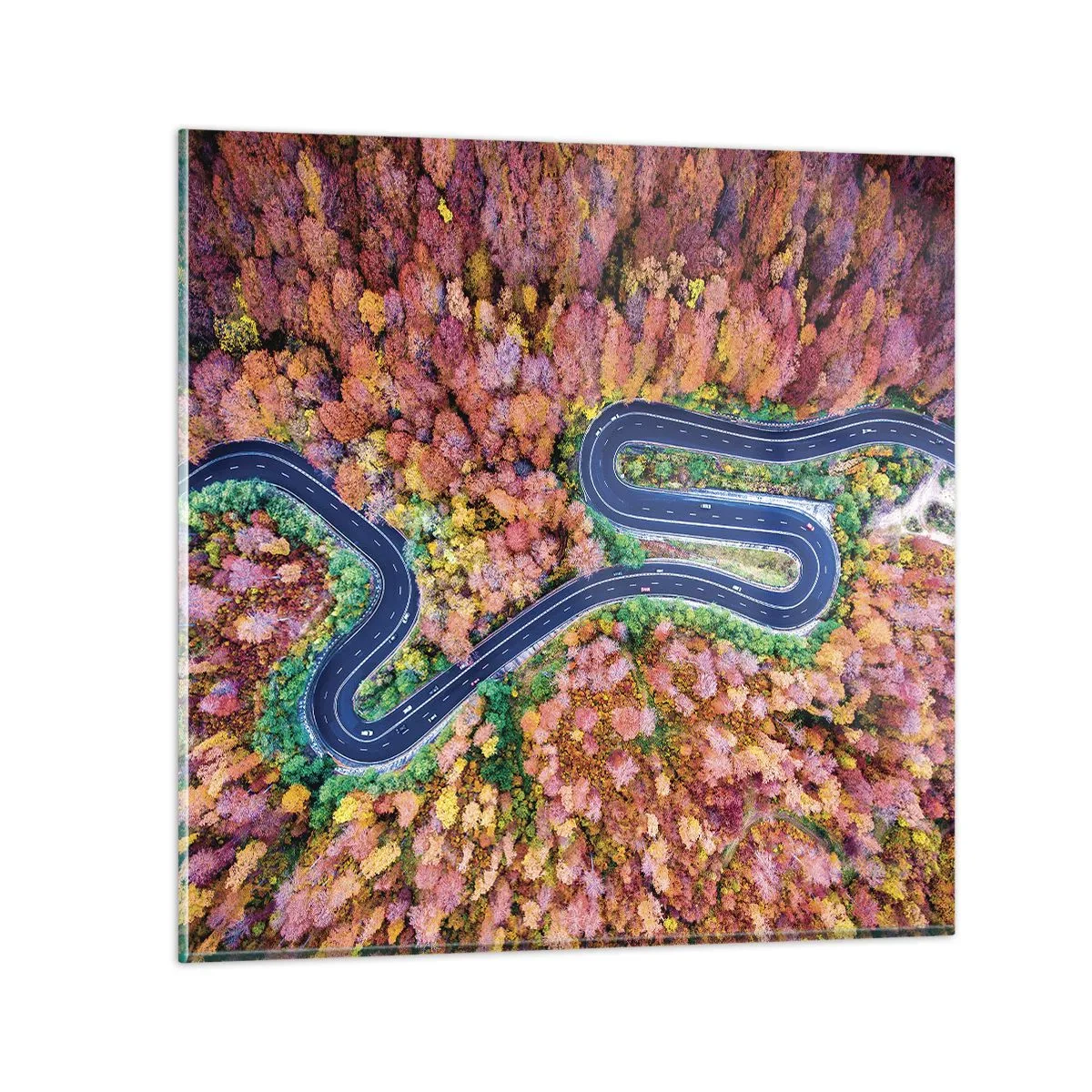 Glasbild - Bild auf glas - Kurvenreicher Weg durch den Wald - 60x60 cm