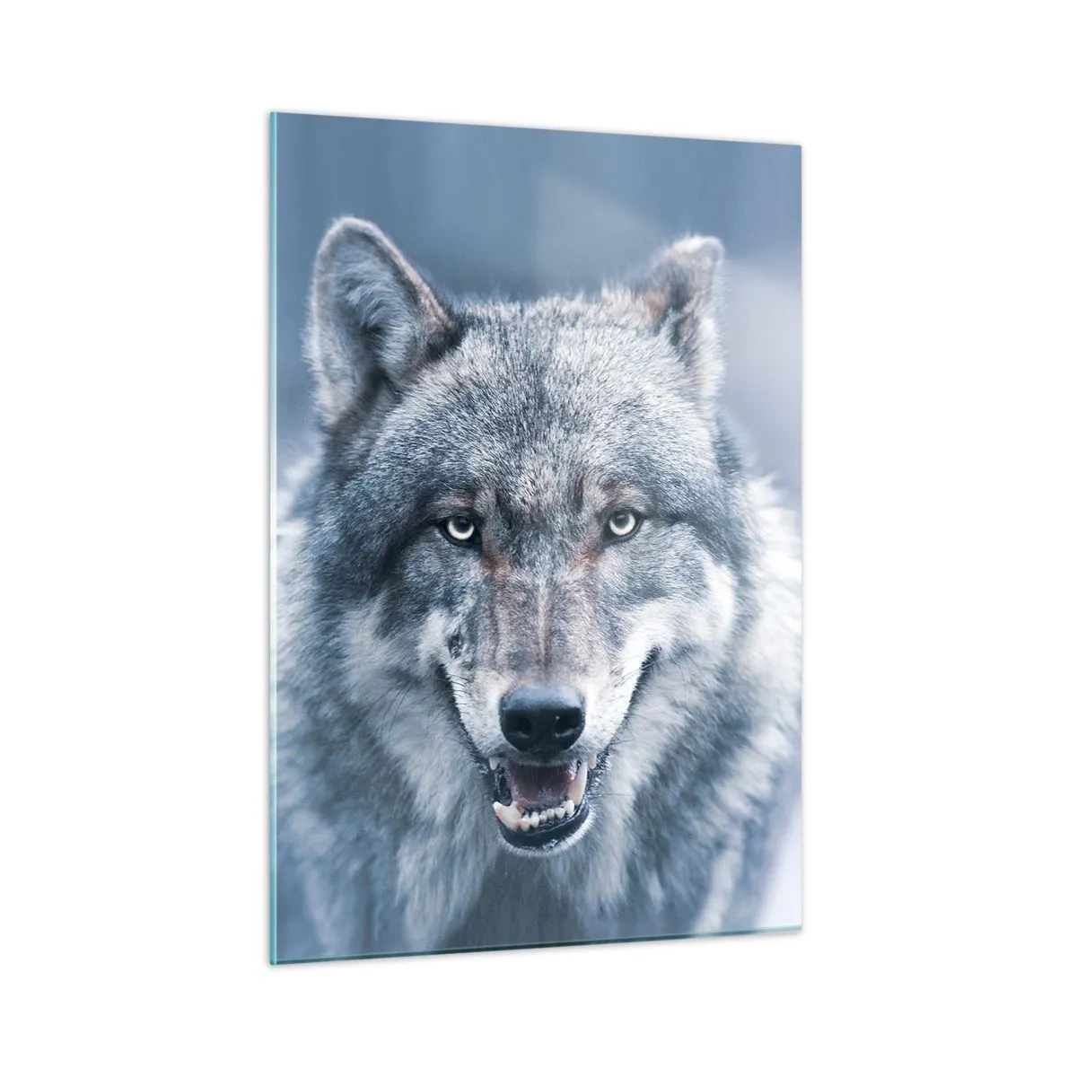 Glasbild - Bild auf glas - Ein Wolf mit durchdringendem Blick vor dem Hintergrund eines verschneiten Waldes - 50x70cm - Werden Sie die Herausforderung annehmen? - Moderne Wanddekoration für Wohnzimmer und Schlafzimmer ARTTOR