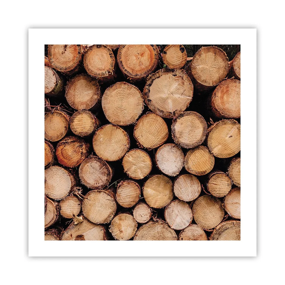 Poster - Ein neuer Anfang - 50x50 cm