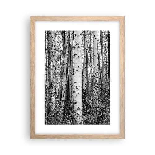 Poster in einem Rahmen aus heller Eiche - Birkenkolonnade - 30x40 cm