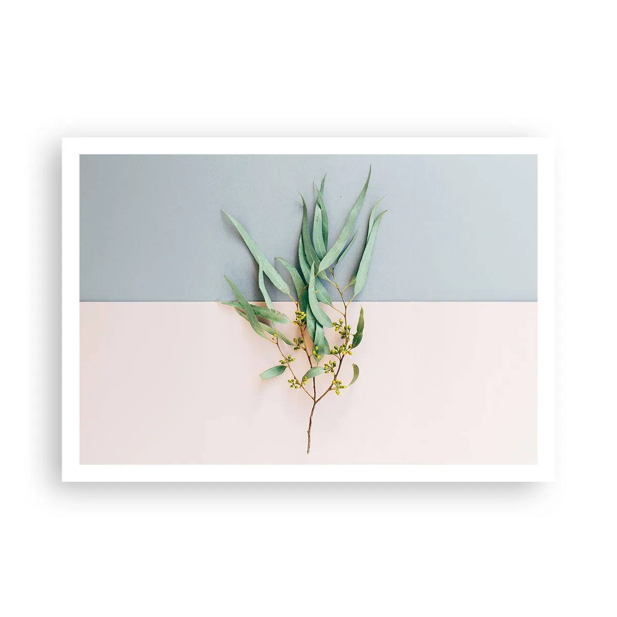Poster - Ein Zweig mit Blättern auf einem Hintergrund in Pastelltönen - 100x70cm - Pastellige Subtilität - Moderne Wanddekoration für Wohnzimmer und Schlafzimmer ARTTOR