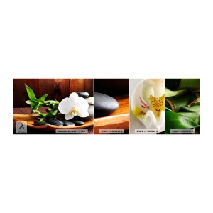 Fototapetenmuster Standard Eco - Geben Sie sich dem Hauch der Natur hin - Blumen, Orchidee, Orchidee - 100x30 cm