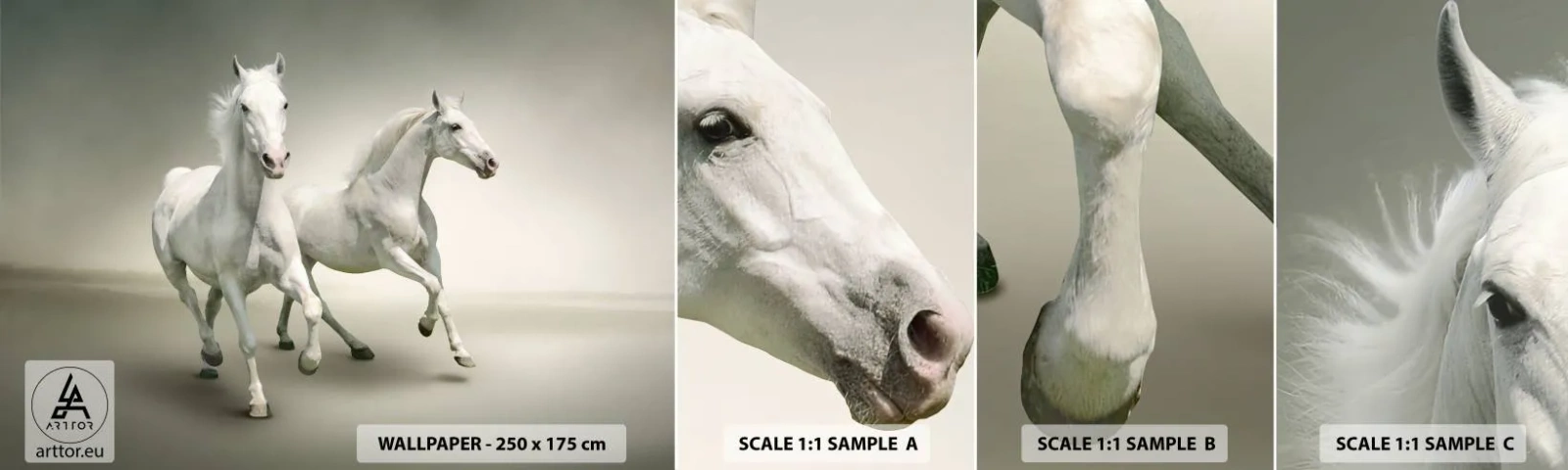 Fototapetenmuster Standard Eco - Weiße Macht! - Tiere, Pferde, Natur - 100x30 cm