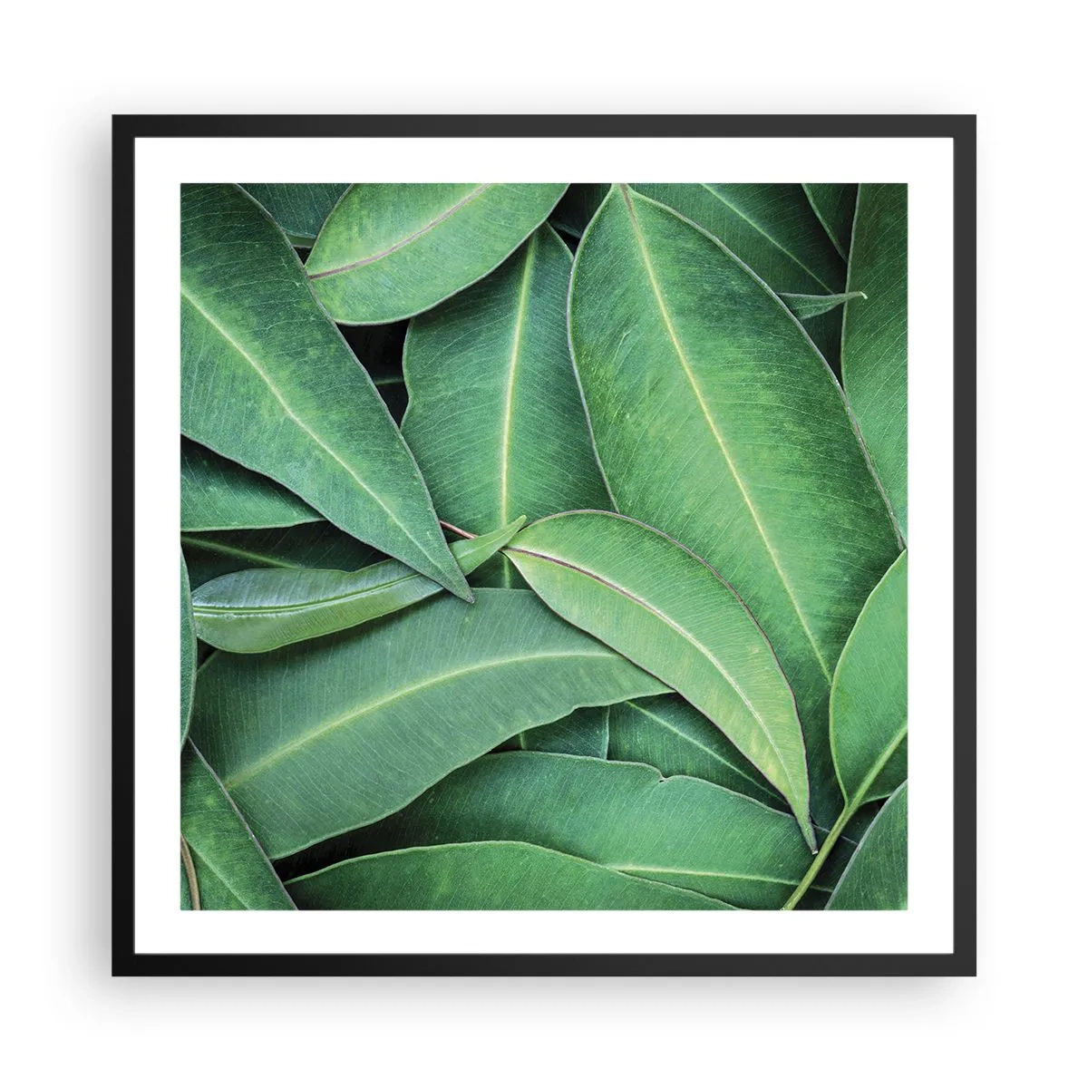 Poster in einem schwarzem Rahmen - Saftig und frisch - 60x60 cm