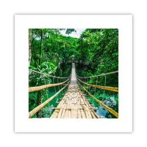 Poster - Monkey Bridge über das Grün - 30x30 cm