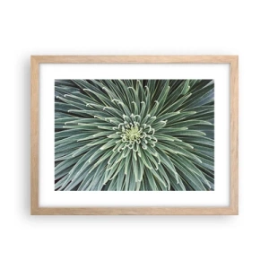 Poster in einem Rahmen aus heller Eiche - Ein Star ist geboren - 40x30 cm