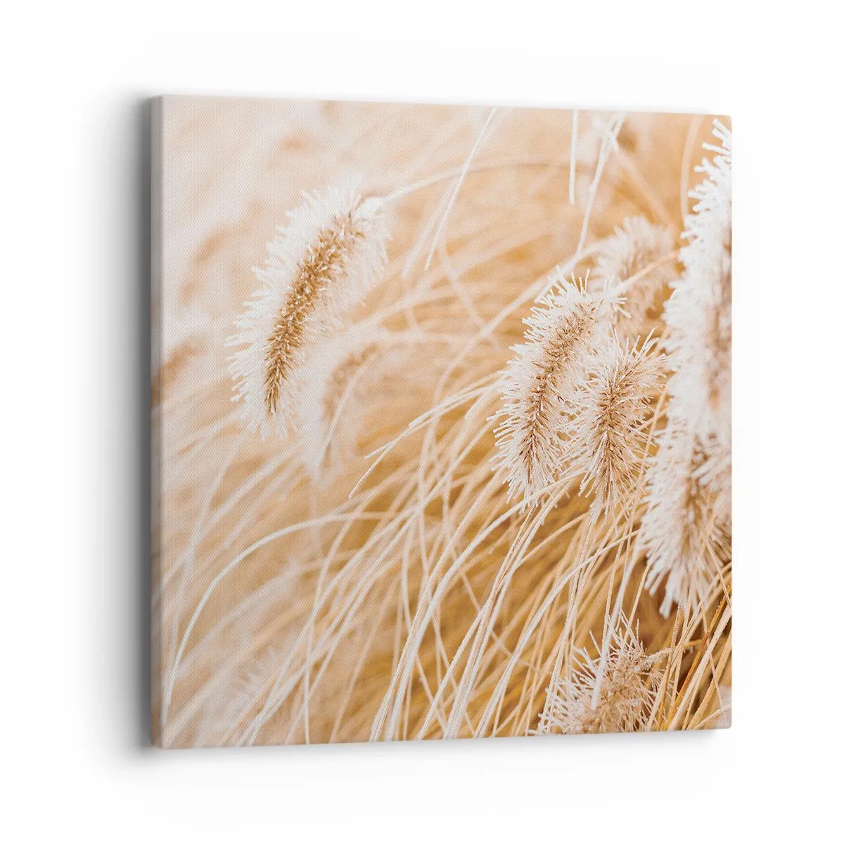 Bild auf Leinwand - Leinwandbild - Das goldene Rauschen des Grases - 40x40 cm