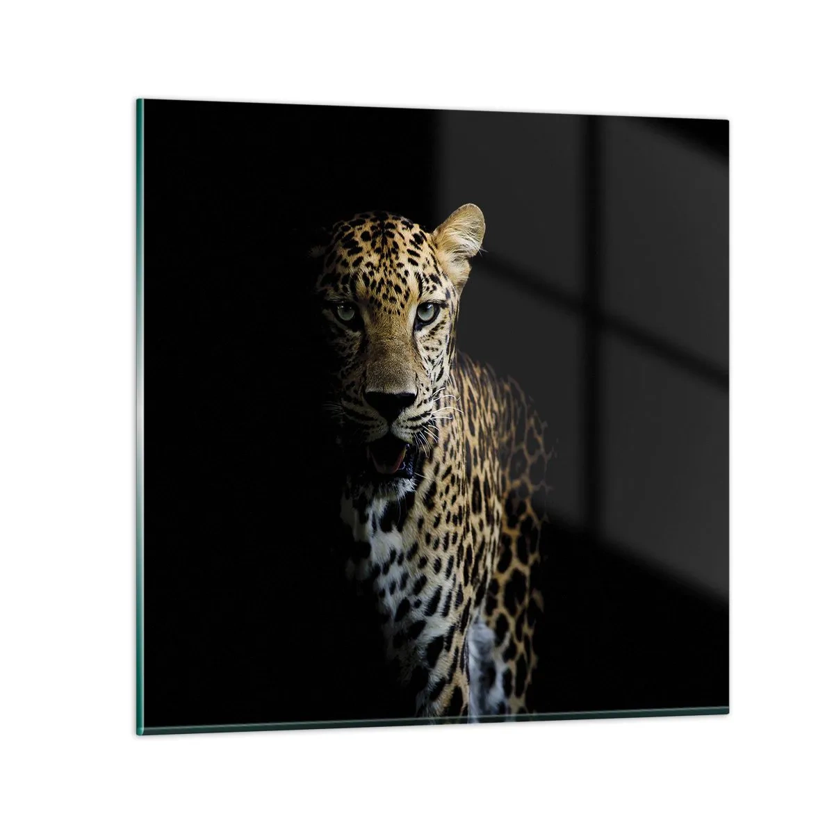 Glasbild - Bild auf glas - Dunkle Schönheit - 40x40 cm